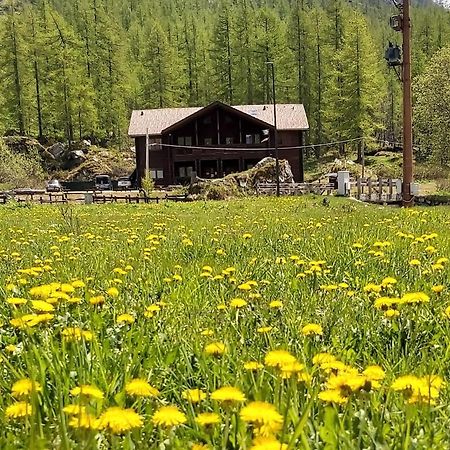 Chalet Rosa Dei Monti Piamprato Екстер'єр фото