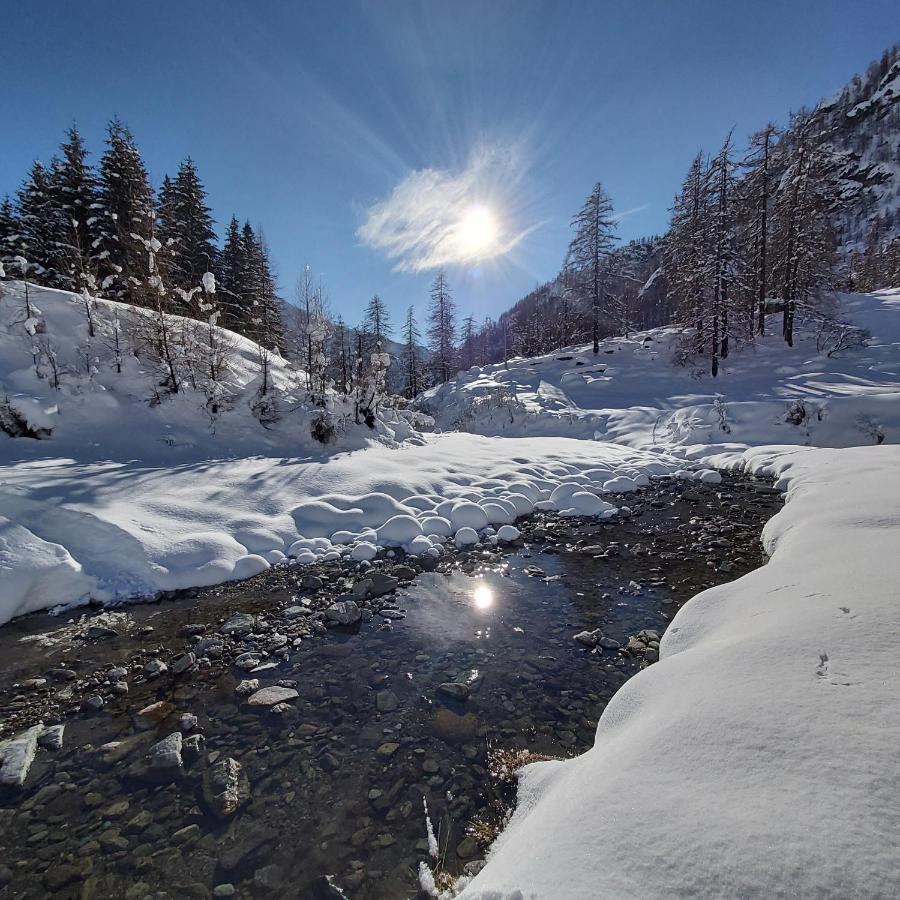 Chalet Rosa Dei Monti Piamprato Екстер'єр фото