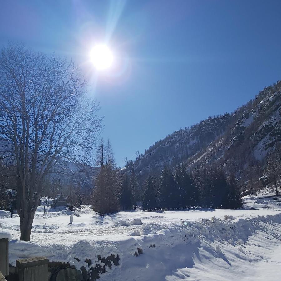 Chalet Rosa Dei Monti Piamprato Екстер'єр фото