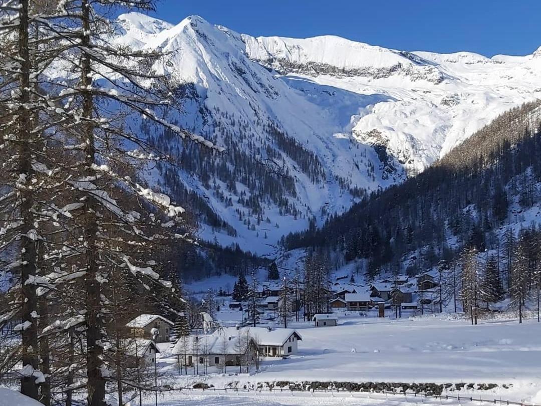 Chalet Rosa Dei Monti Piamprato Екстер'єр фото