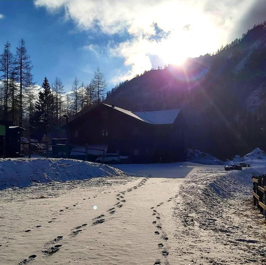 Chalet Rosa Dei Monti Piamprato Екстер'єр фото