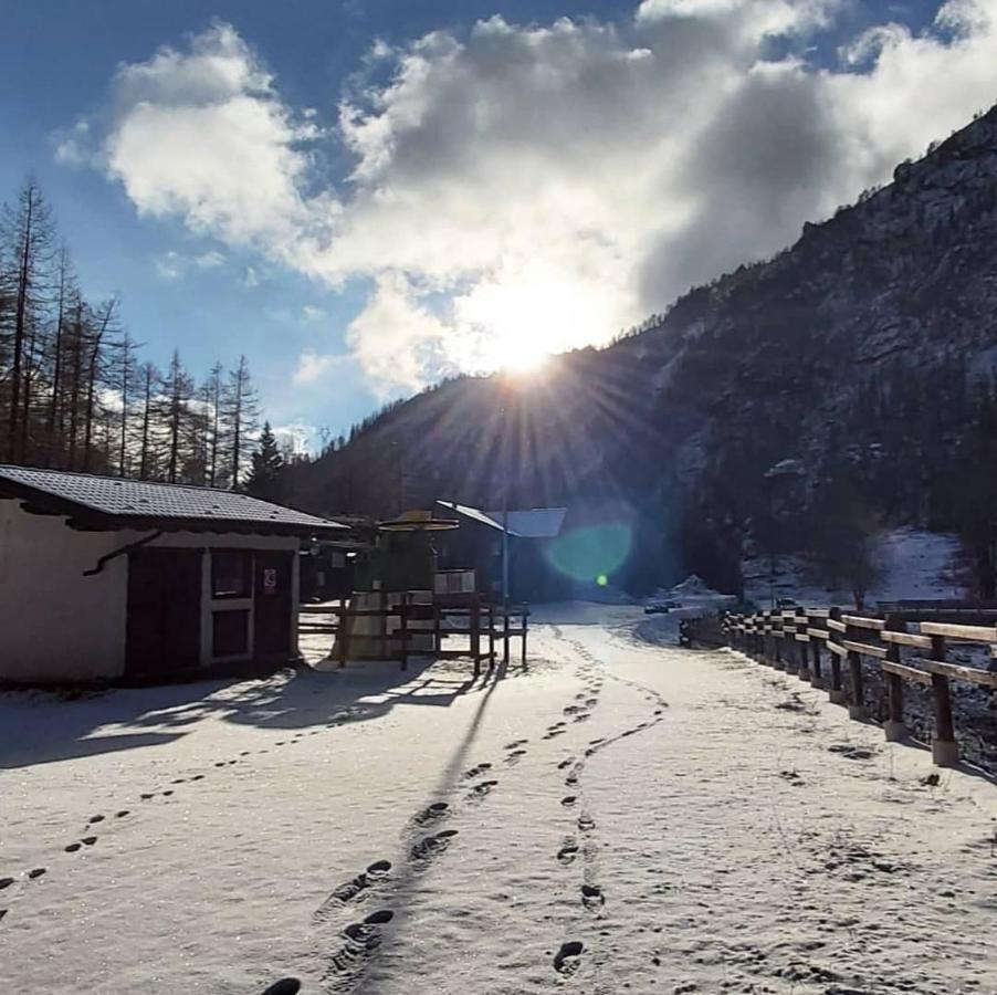 Chalet Rosa Dei Monti Piamprato Екстер'єр фото