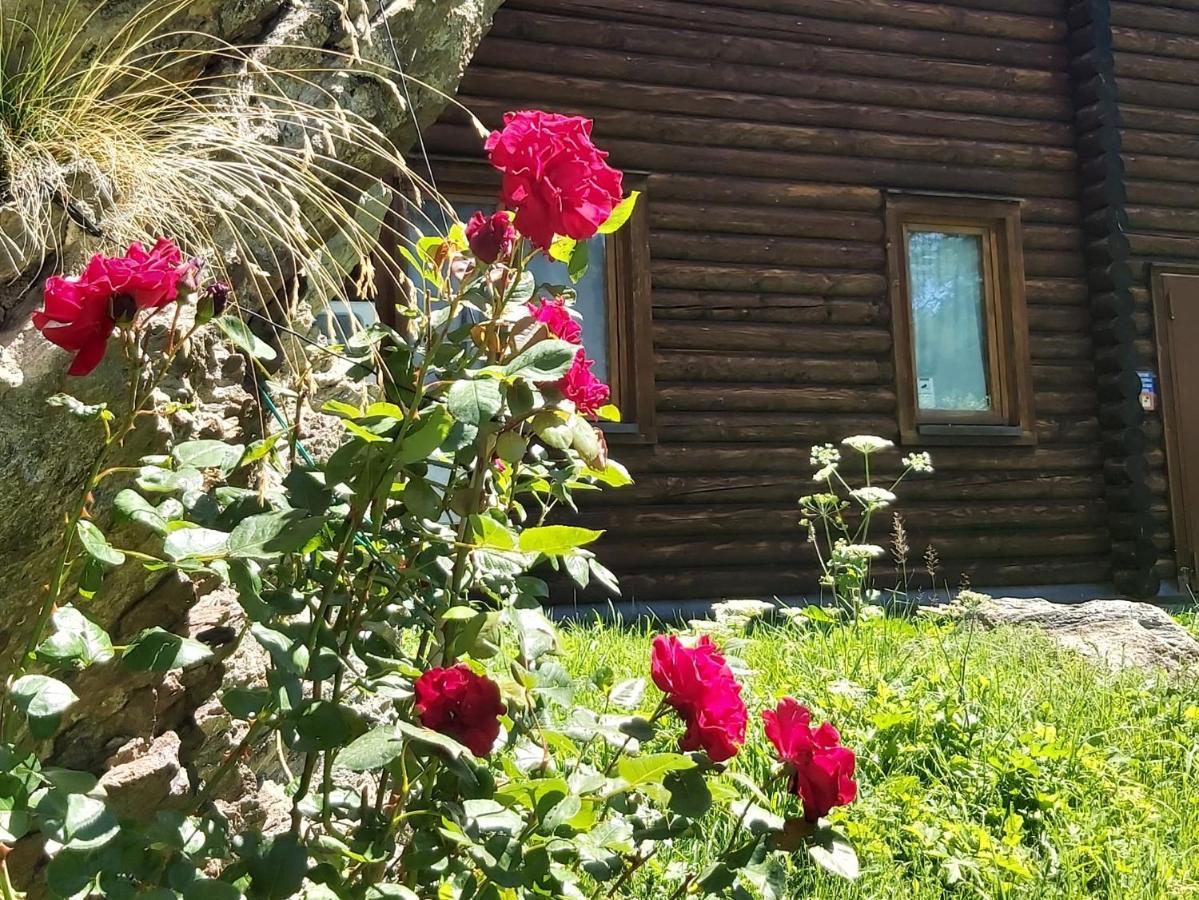 Chalet Rosa Dei Monti Piamprato Екстер'єр фото