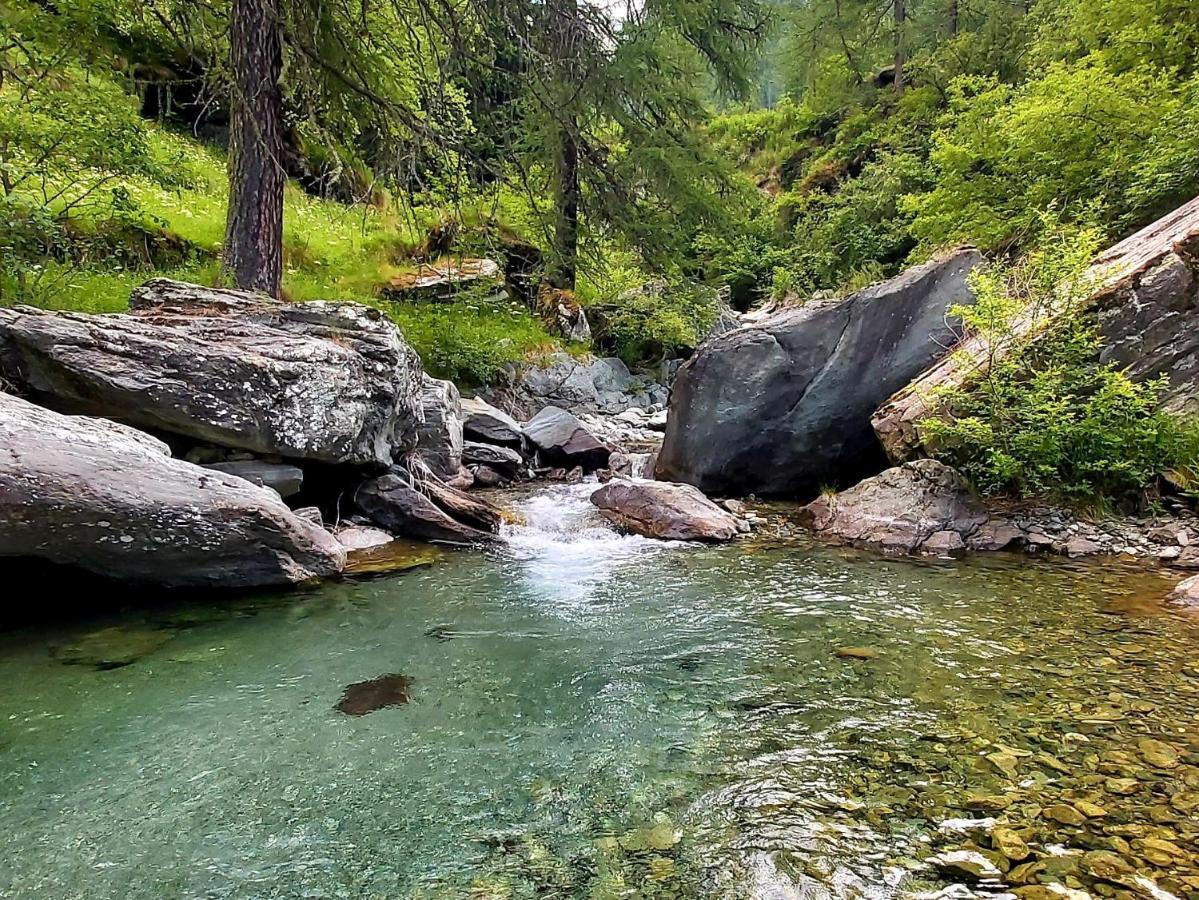 Chalet Rosa Dei Monti Piamprato Екстер'єр фото