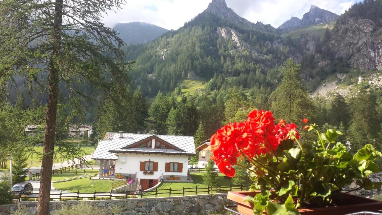 Chalet Rosa Dei Monti Piamprato Екстер'єр фото