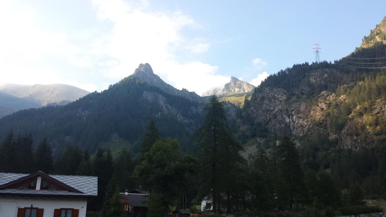 Chalet Rosa Dei Monti Piamprato Екстер'єр фото