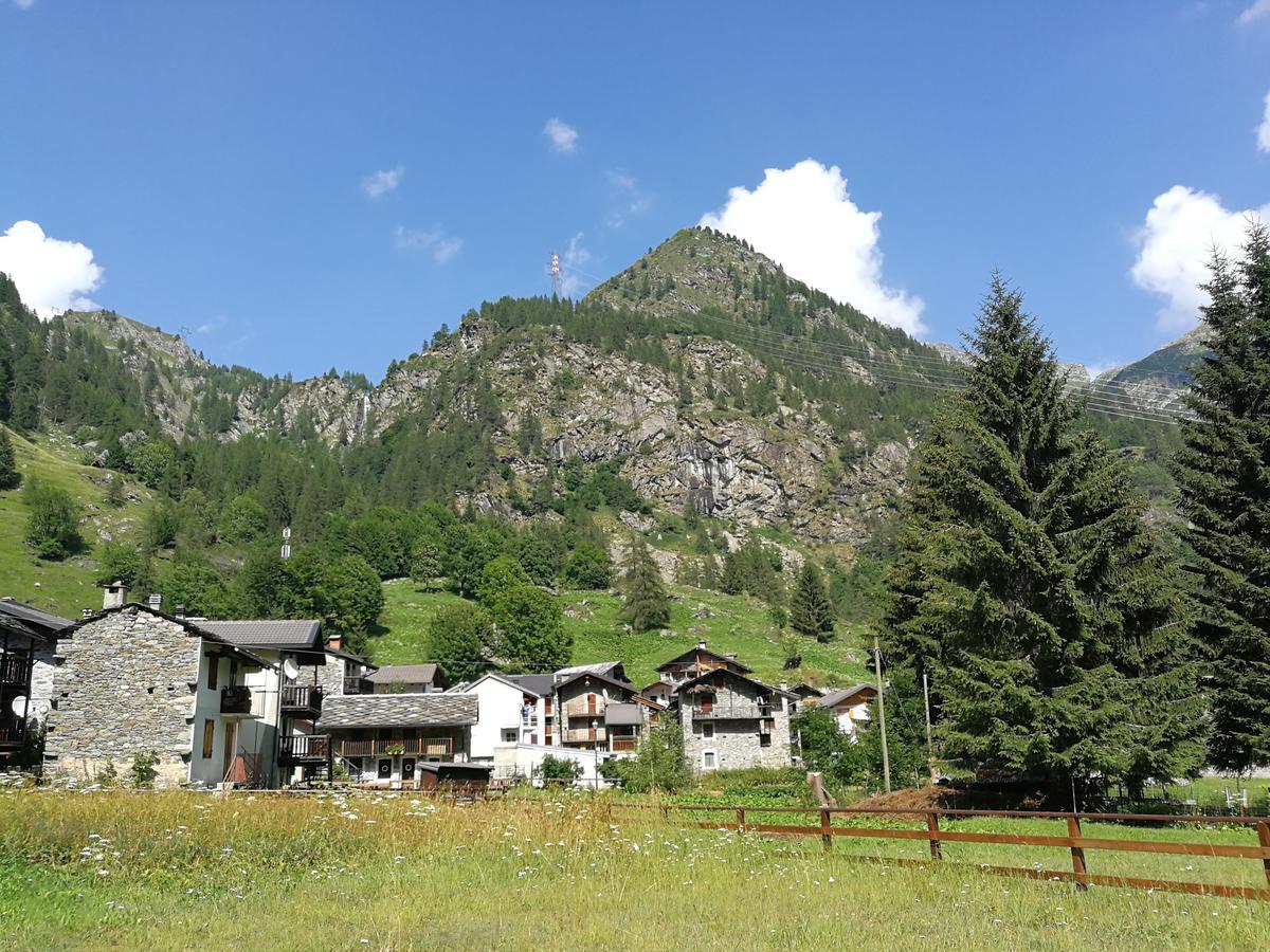 Chalet Rosa Dei Monti Piamprato Екстер'єр фото