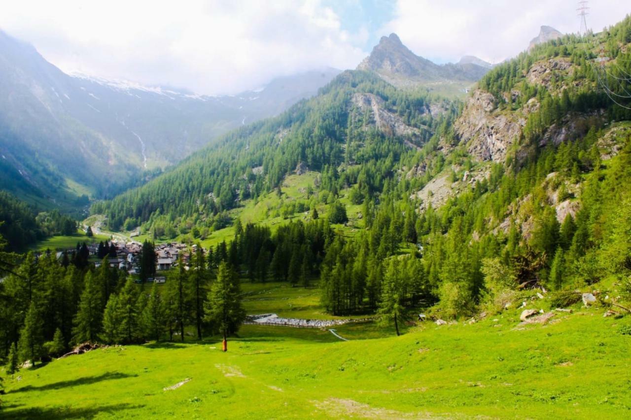 Chalet Rosa Dei Monti Piamprato Екстер'єр фото