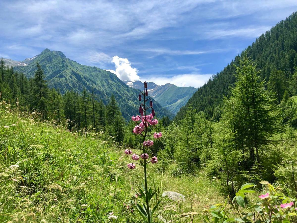 Chalet Rosa Dei Monti Piamprato Екстер'єр фото